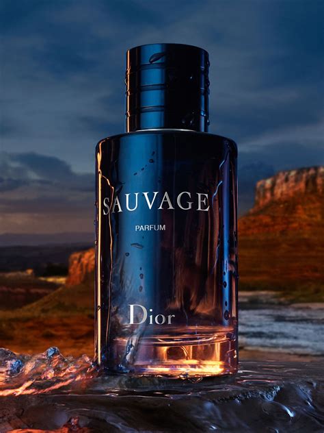 dior davage|sauvage Dior cost.